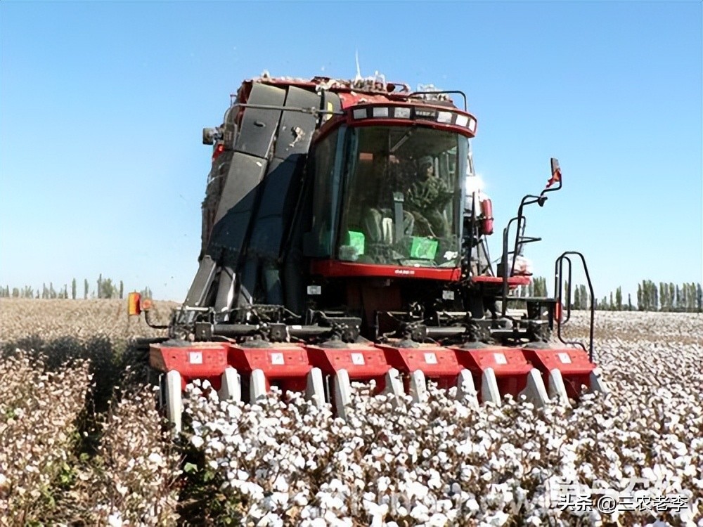 租金一般占成本的多少比较合算,租金收益多少以上才不亏