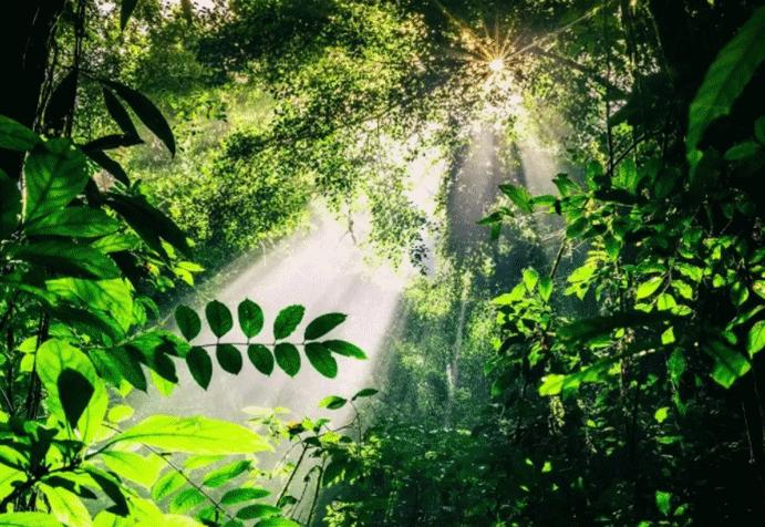 昆明七彩云南怎么样,七彩云南避暑家园