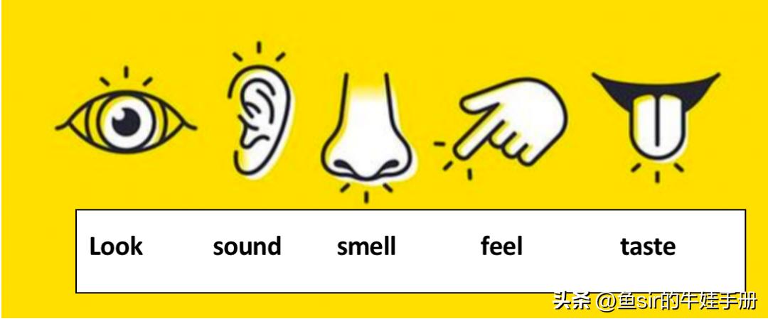 快速背单词的最快方法小学生,背单词的最快有效方法小学生