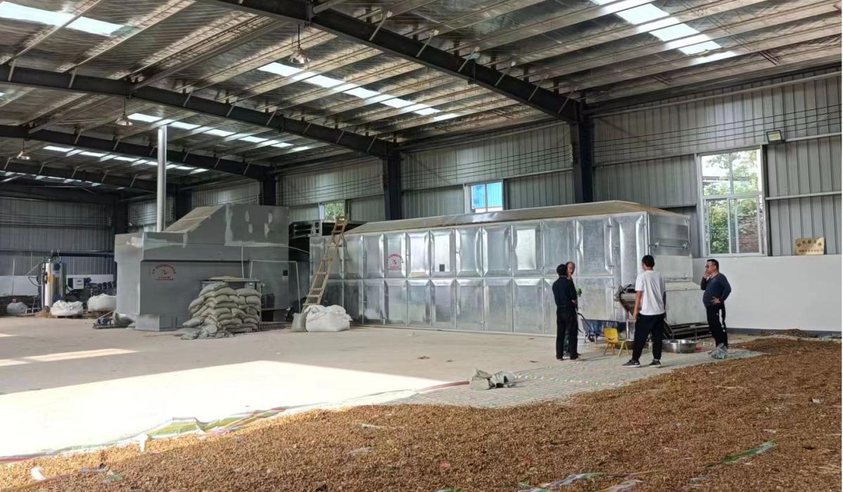 南曹乡朱坡村元胡基地,河南尉氏南曹乡最新元胡价格