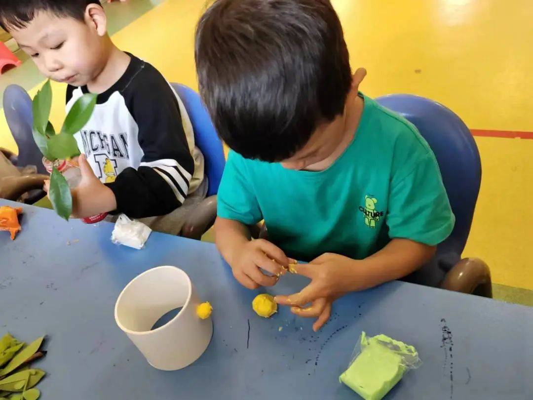 “戏”动童年，“域”见未来——诺亚舟开心果幼儿园区域活动