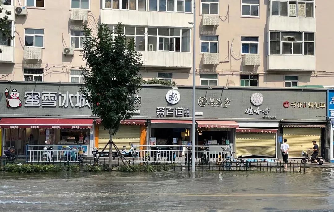 揭秘丨奶精厂前五大客户：蜜雪冰城、古茗、沪上阿姨、CoCo...