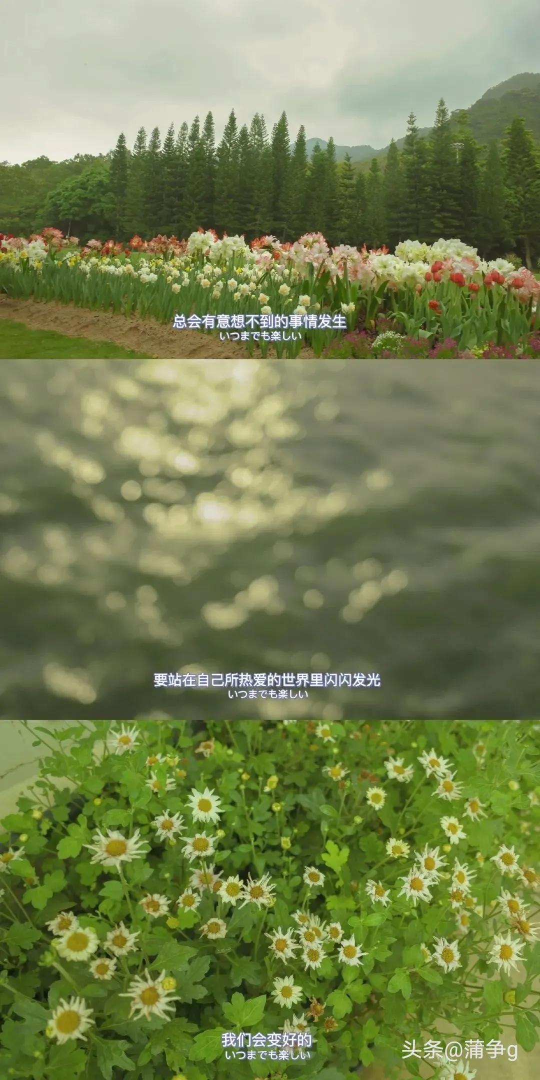 大学生并不是无所不能的,大学生真的是太难了处处碰壁