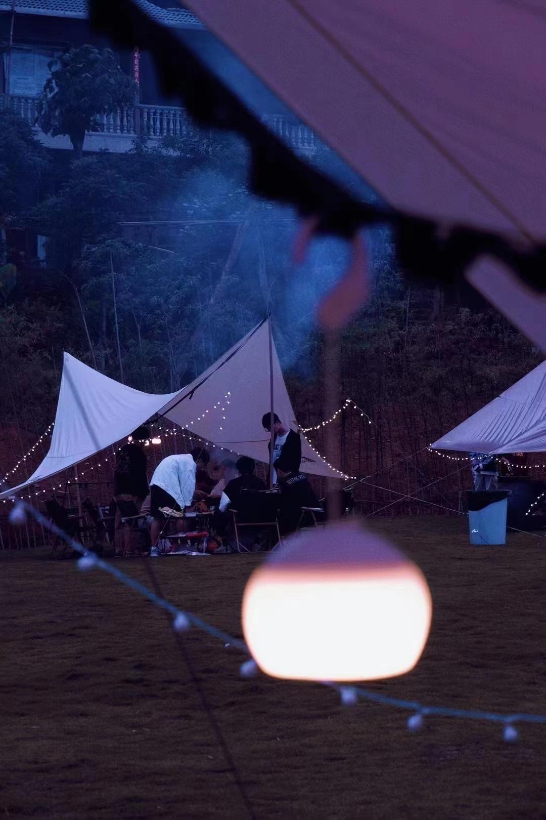 闽山闽水物华新,闽山闽水物华新在师生中引热议