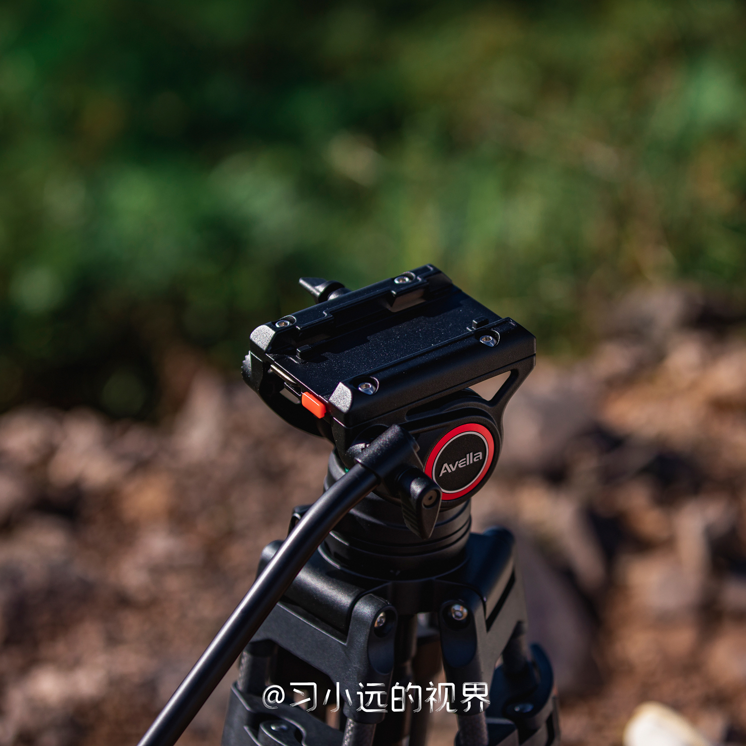 千元以内单反国产三脚架,阿维拉三脚架质量如何
