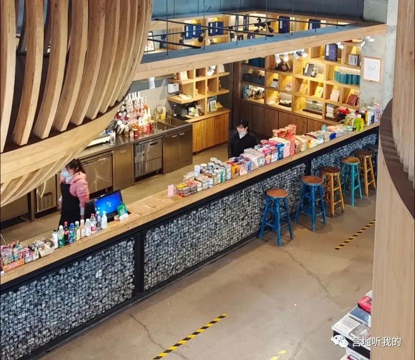 捞小河里的小蝌蚪,上海抓小蝌蚪的公园