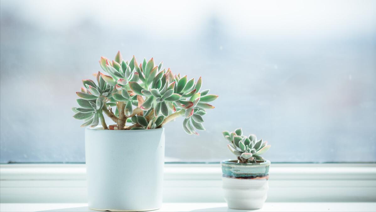 每日30分钟晨间日记,晨间日记视频