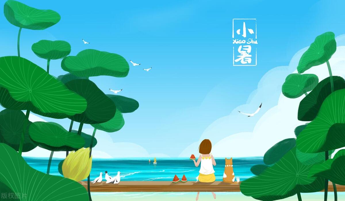 二十四节气每日养生物语小暑,节气养生大暑如何养生