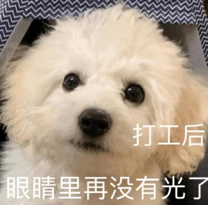 表情包爱心发射怎么接,握拳爱心发射手势表情包