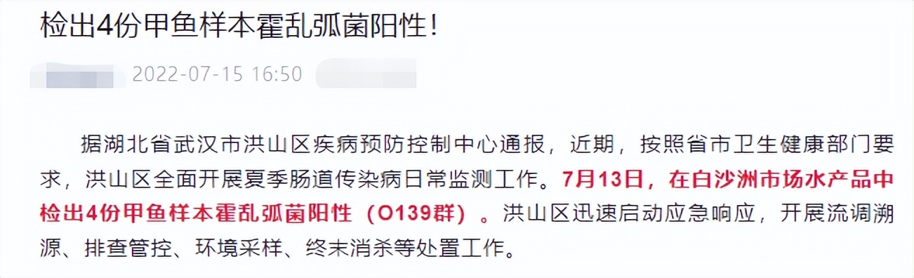 甲鱼霍乱,甲鱼感染芽孢杆菌