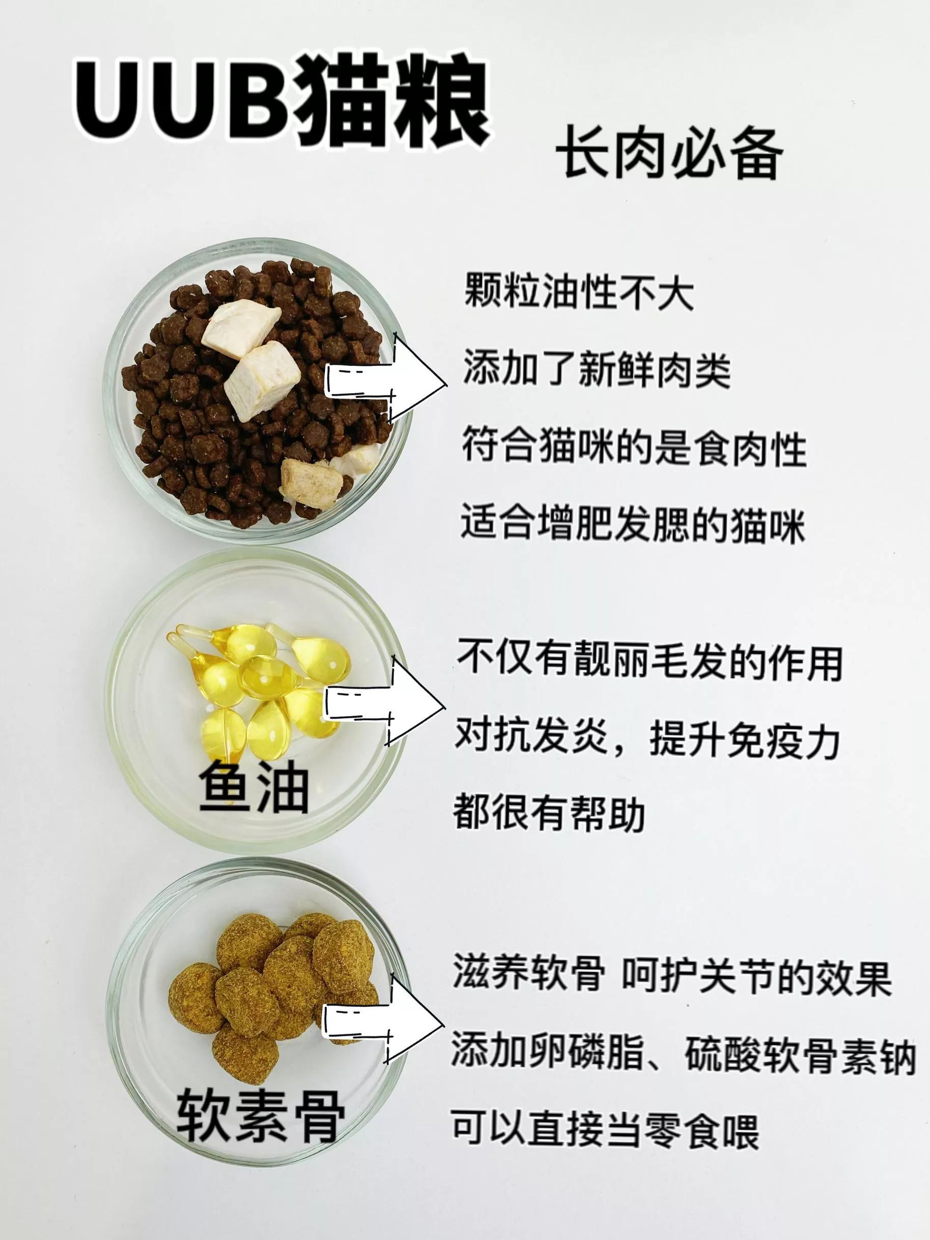 猫粮囤货省钱攻略,猫粮囤货进口