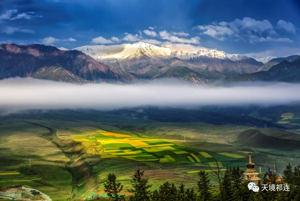 青海祁连山哪个位置最好,祁连山为什么一面森林一面草原