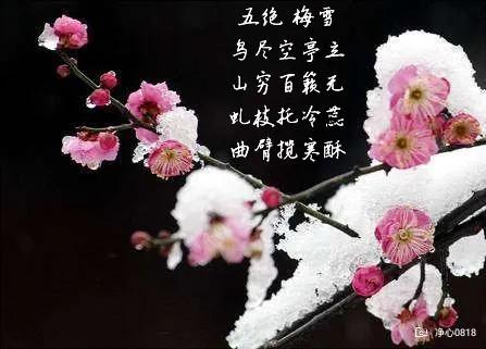 【七言排律·怀古随吟】用韵·疏影横斜·看图写话