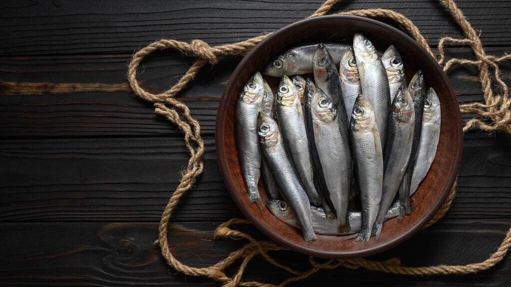 中老年人有必要补充辅酶q10吗,辅酶q10老年人真的需要补吗