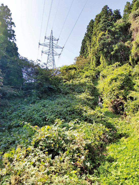 在日本一日元能买啥,在日本一元等于多少日币