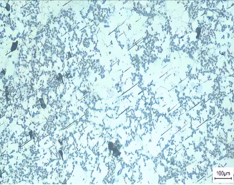 文昌新材徐骏教授：电磁搅拌吸铸技术及其在铝陶复合材料中的应用
