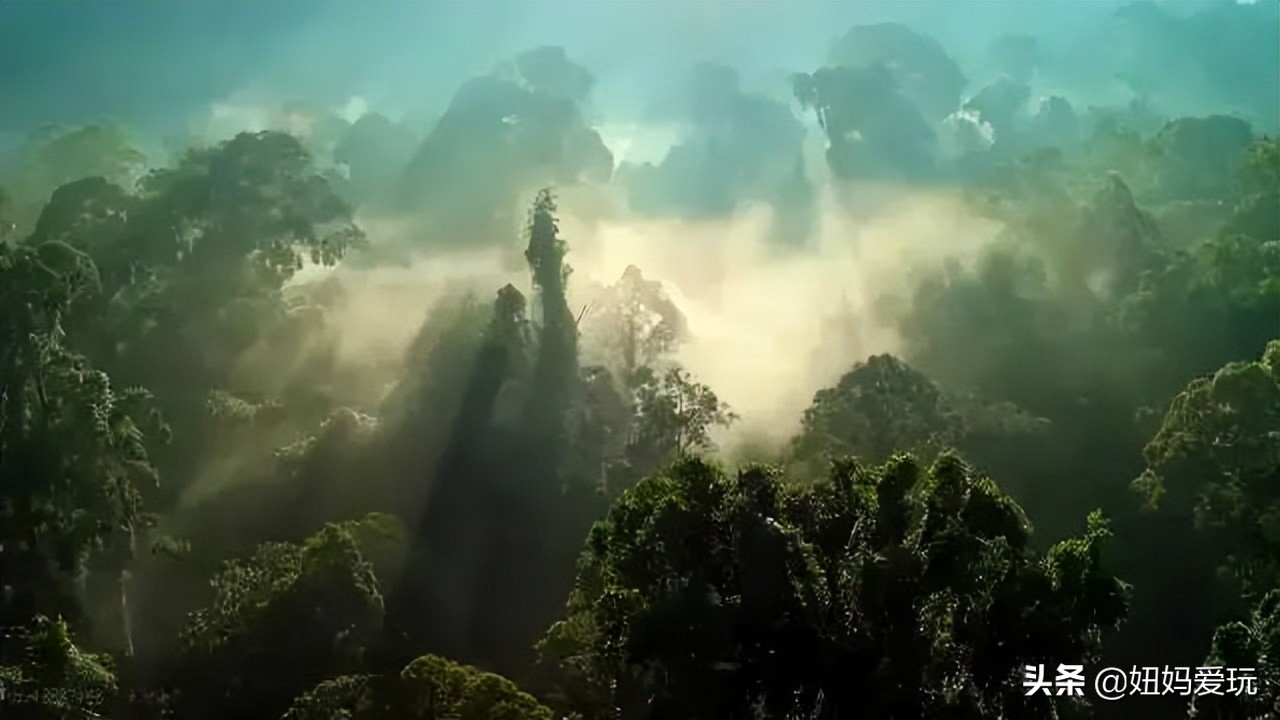 带你真切看人间的宝藏纪录片top10,十一长假适合带孩子看的纪录片