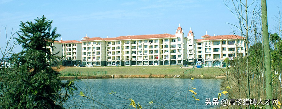 江西软件职业大学是民办还是公办,南昌职业大学与江西软件职业大学