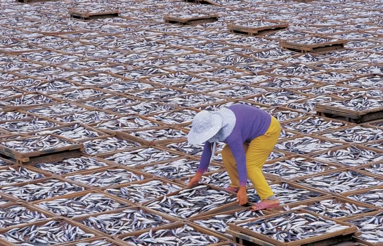 台湾禁止进口食品有哪些,禁止台湾进口食品名单解除了吗