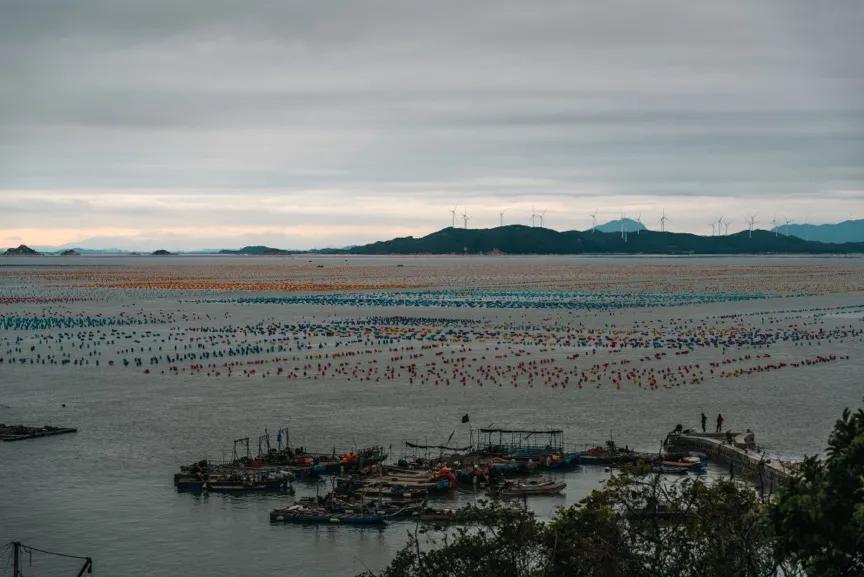 腾龙28-75使用体会,腾龙28-200旅行