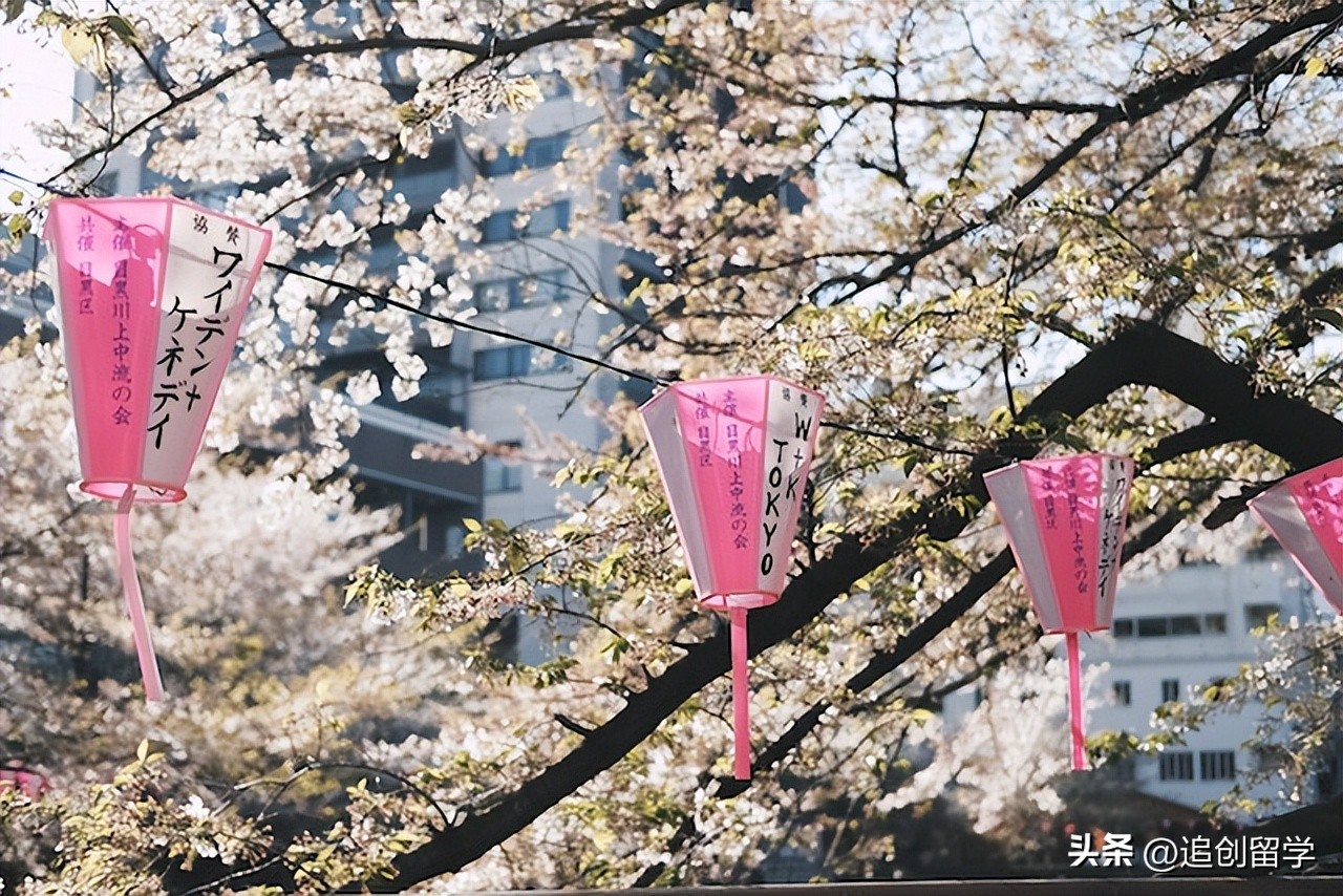 先来了解一下日本留学条件和费用,怎样申请日本留学条件最好