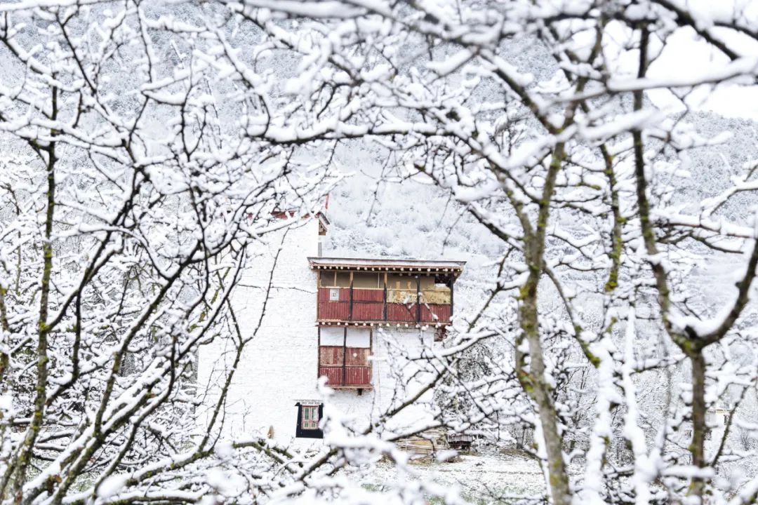 不到3000玩7天！“全网呼声最高”的冬日游天花板，非它莫属！