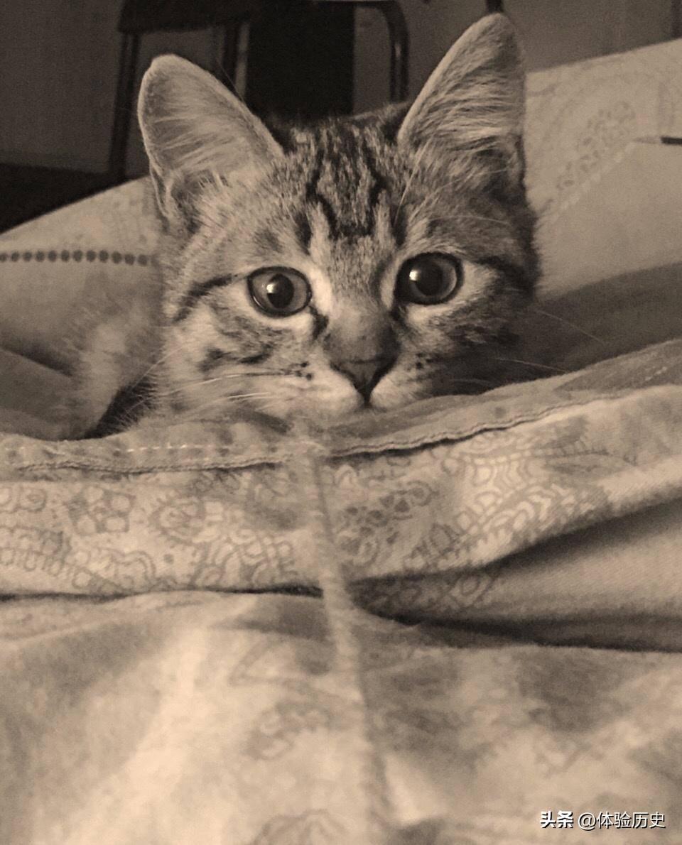 【晚清真实影像】花楼女子丰乳肥臀,30张老照片尽显绝代风华