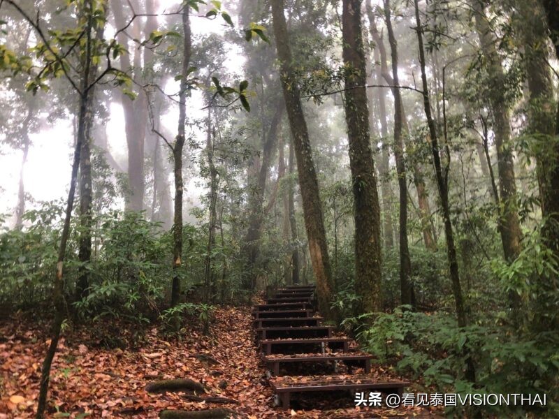 泰国小众登山旅游,泰国的七大露营胜地