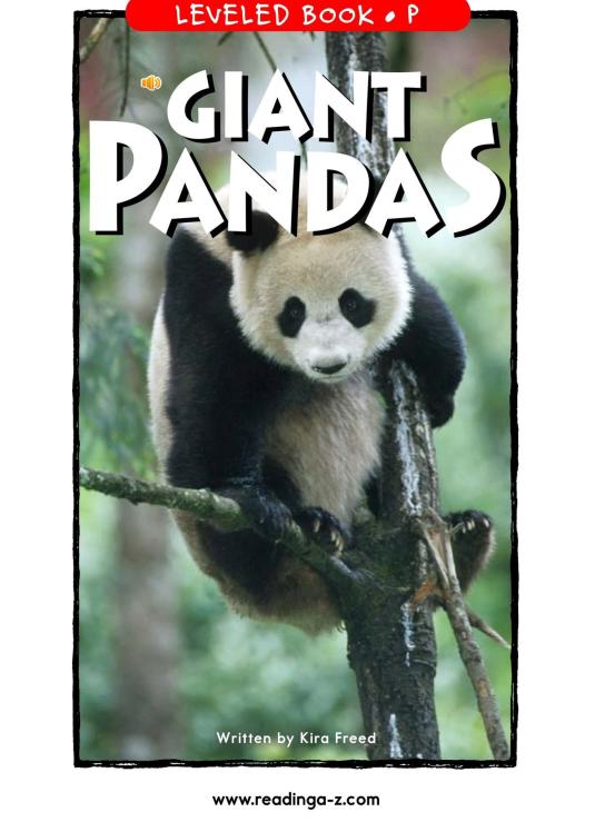 暑假带孩子怎么玩好,暑假带娃怎么玩