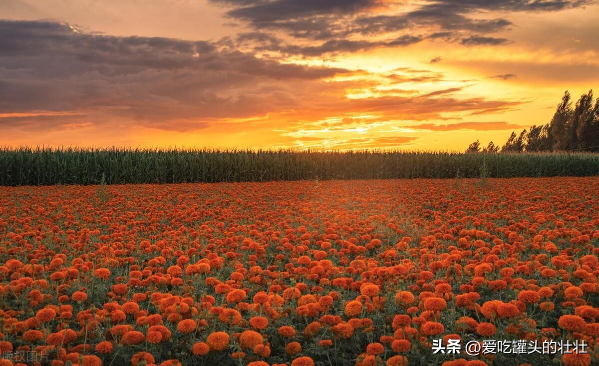 你被别人删除微信会有什么提示,你被好友删除了有提示吗