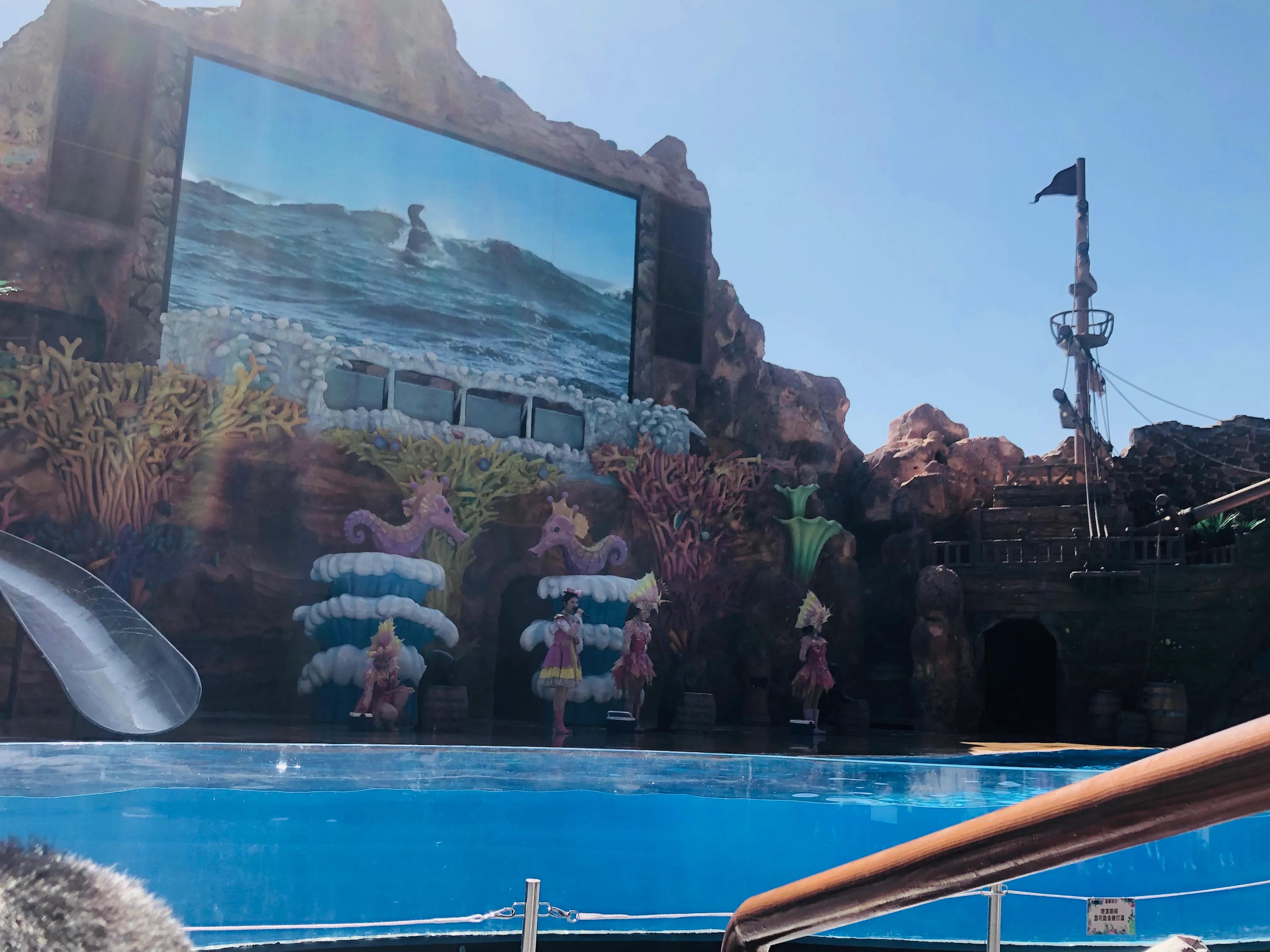 银基动物王国最强游玩攻略,银基动物王国游玩最详细攻略