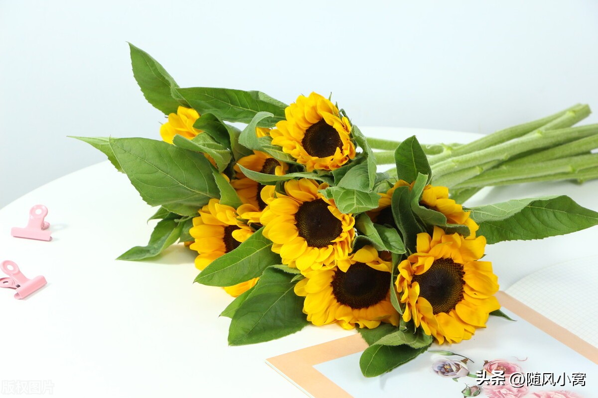 宝宝甲流感染者1-7天表现症状图,5岁孩子支原体感染高烧