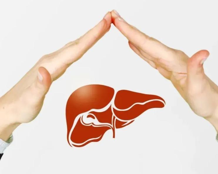 肝脾淤堵湿气重吃什么药,肝堵和脾堵湿热吃啥中成药