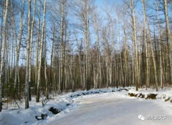 中日文化艺术交流,中日合唱北国之春