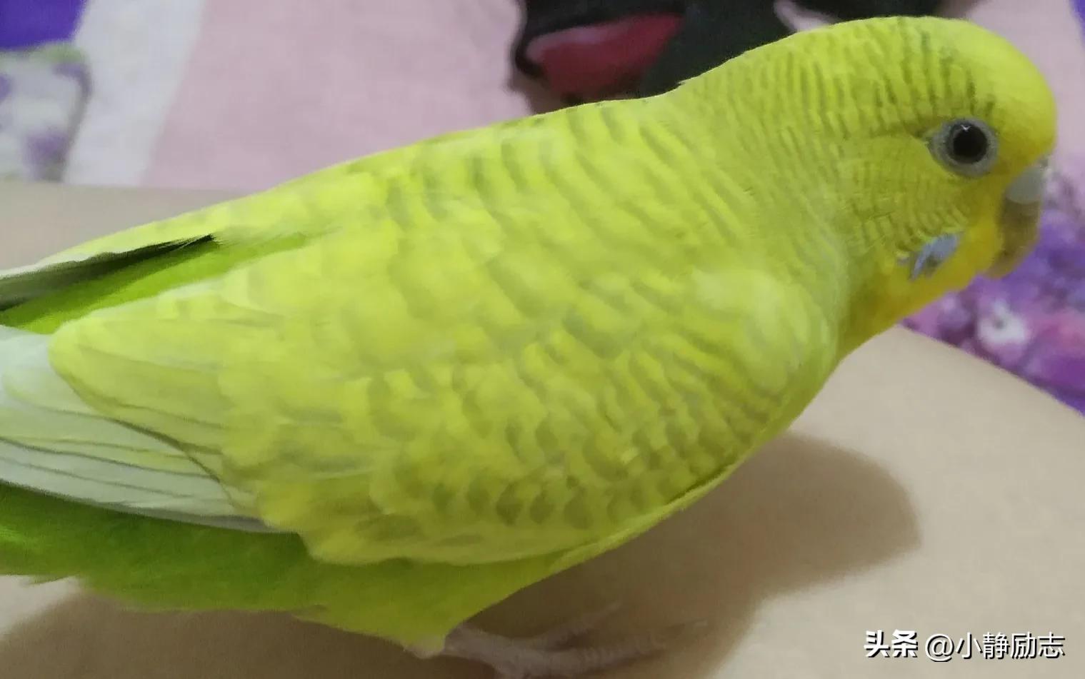 儿童励志睡前故事正能量小故事,励志小故事正能量故事适合小学生