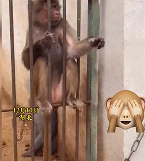 搞笑图片发烧,小女孩gif搞笑动态图片大全