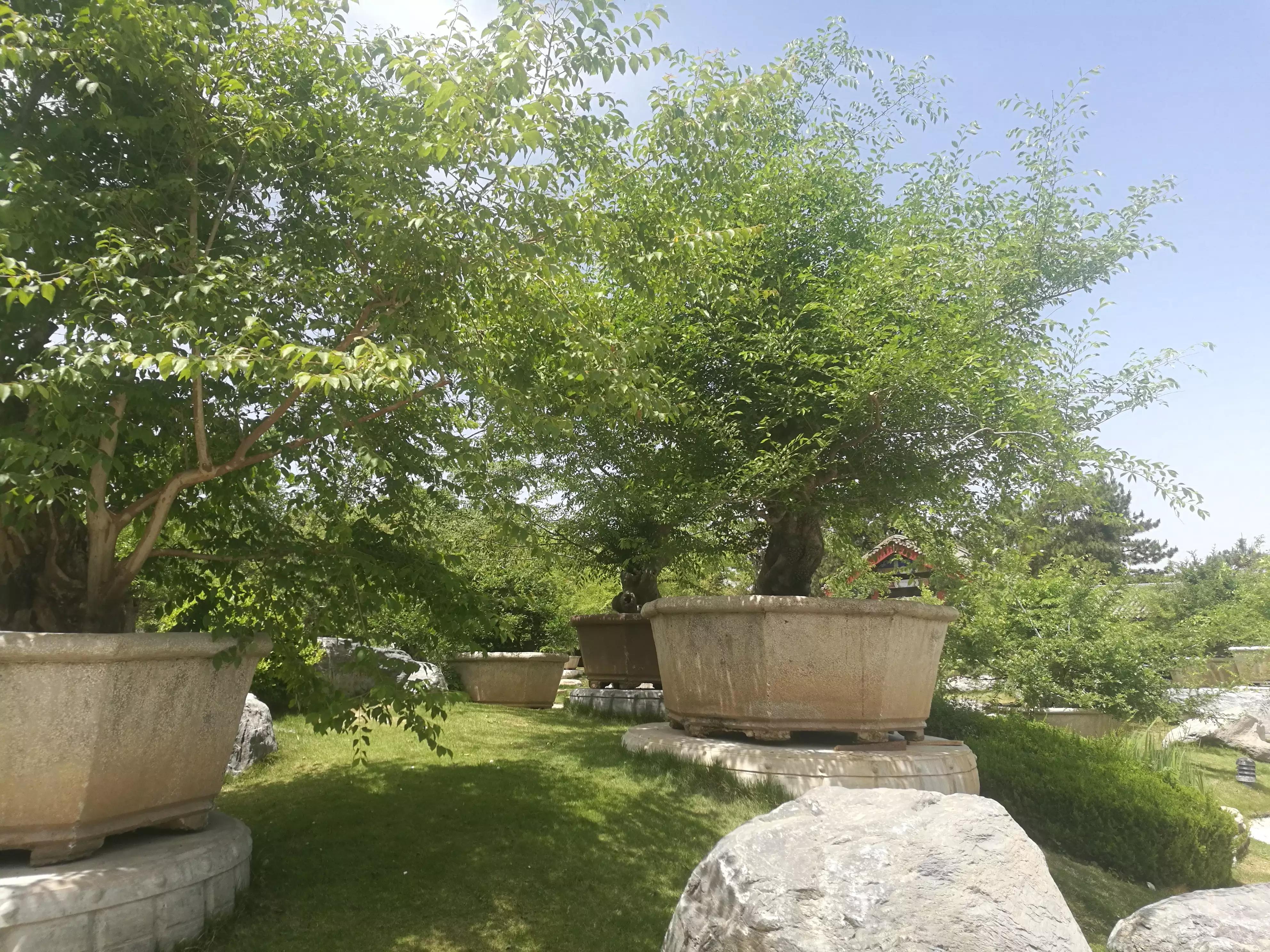 中国唐苑门票多少钱,中国唐苑怎样预约免费门票