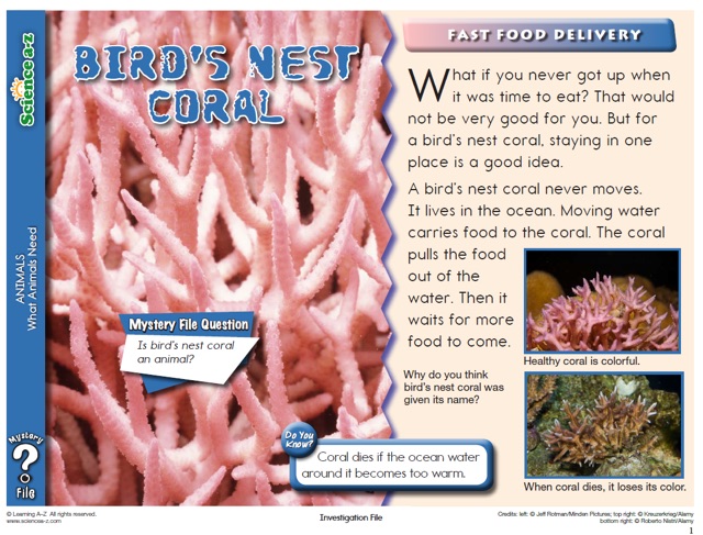 什么是大名鼎鼎的LearningA-Z?全球最详细的中文版图文视频介绍