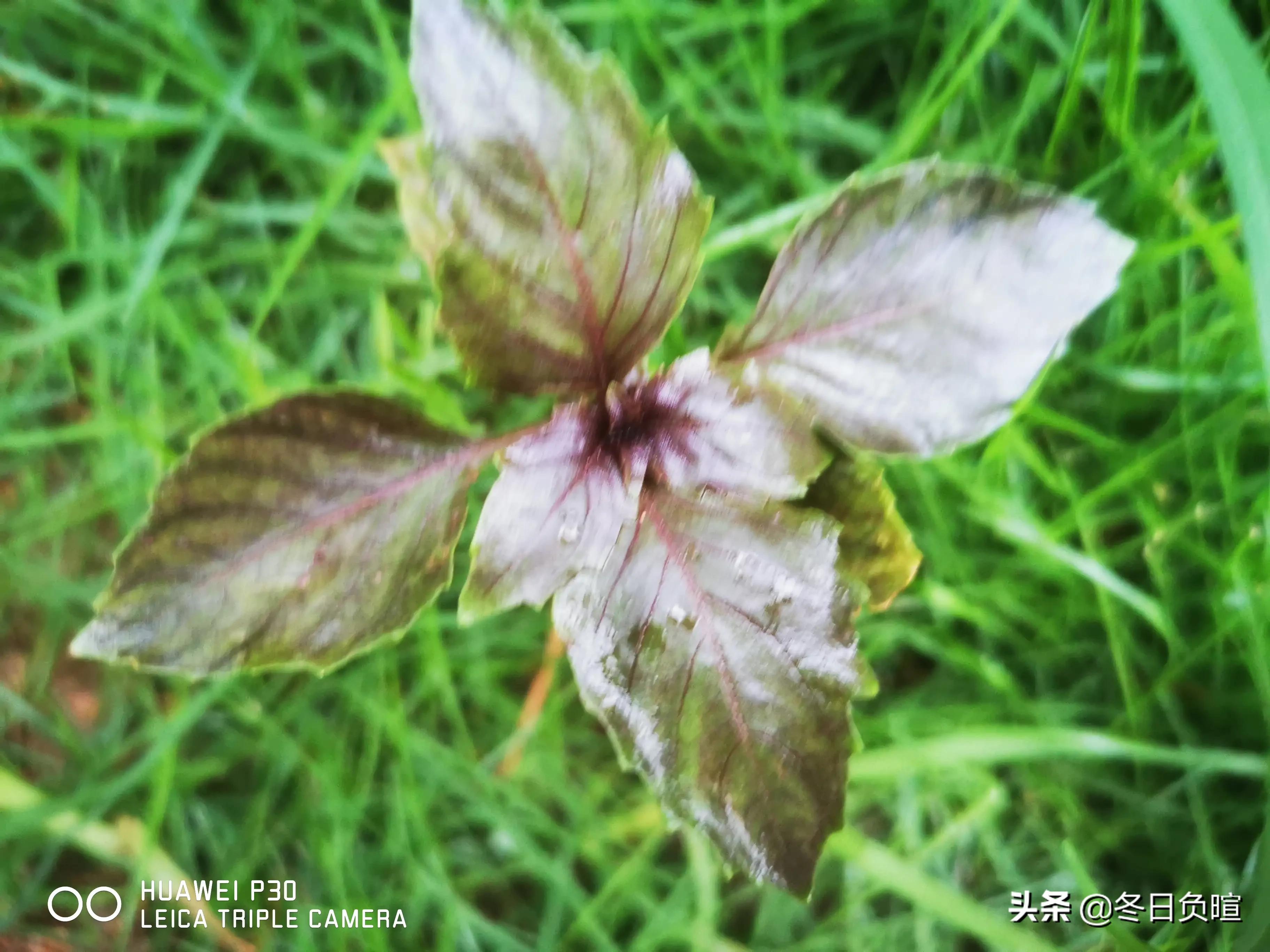 不舍朋友的离别的诗句,人生自古伤离别完整版