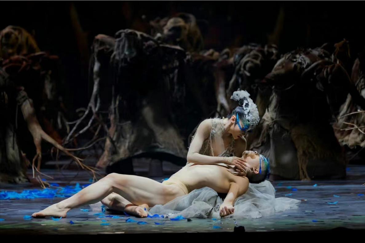 杨丽萍舞伴殒命！从39楼跳下，年仅44岁！舞天堂再度《雀之恋》