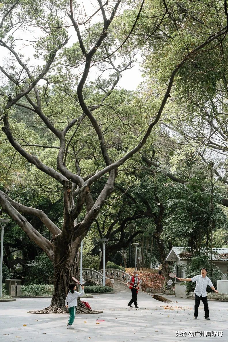 2019广州十大浪漫约会圣地,广州白云哪里适合情侣游玩