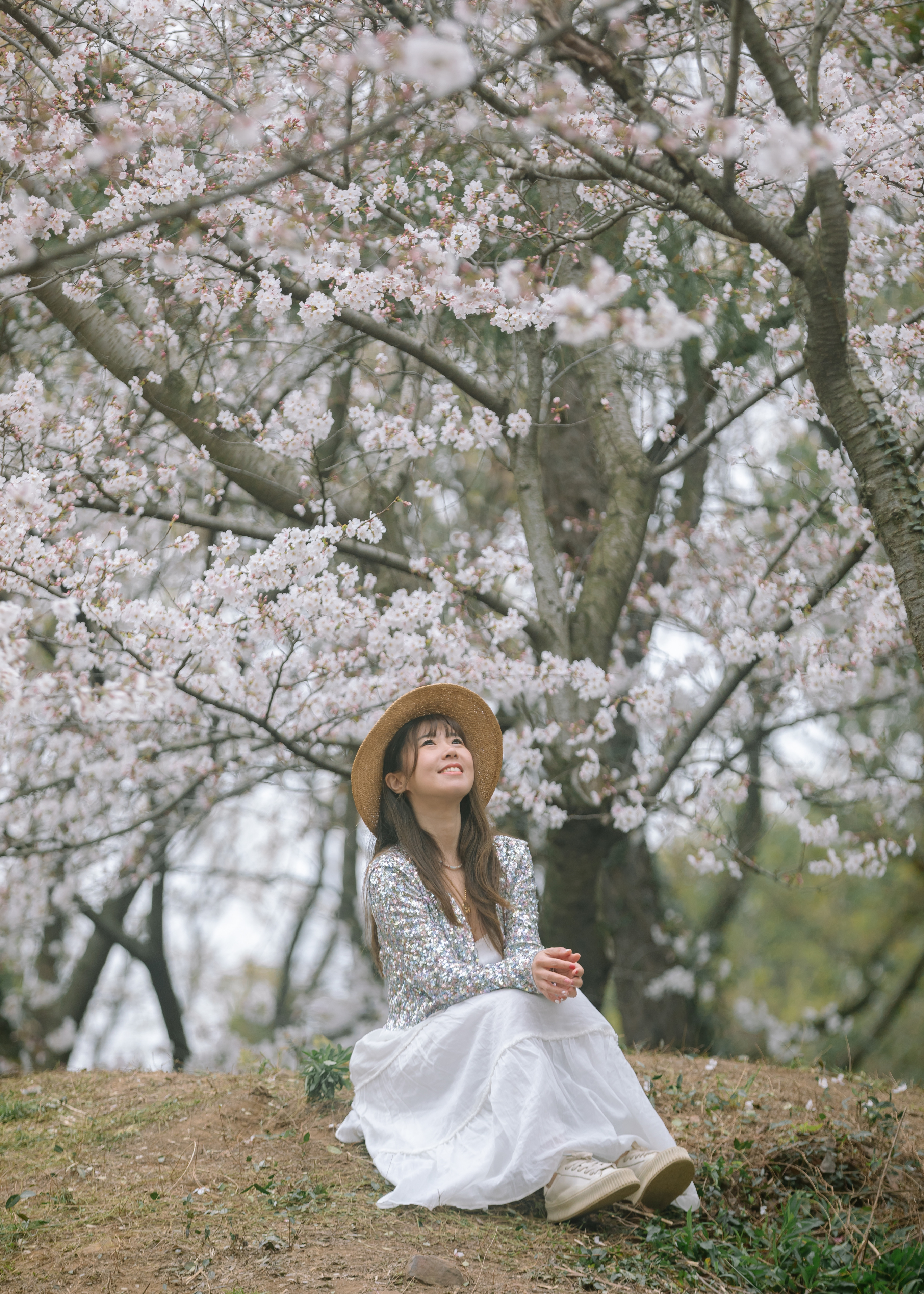 鼋头渚樱花盛宴比日本更令人沉醉,太湖鼋头渚樱花美如画