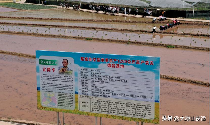大凉山乡村振兴,遇见美丽大凉山1-8集