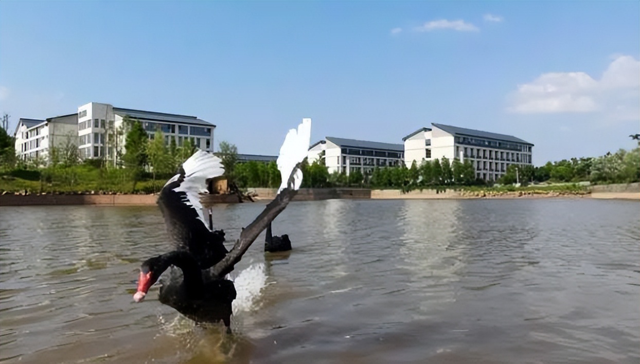 聊聊南华大学：一所撬动科研“杠杆”，激扬人才“活水”的大学