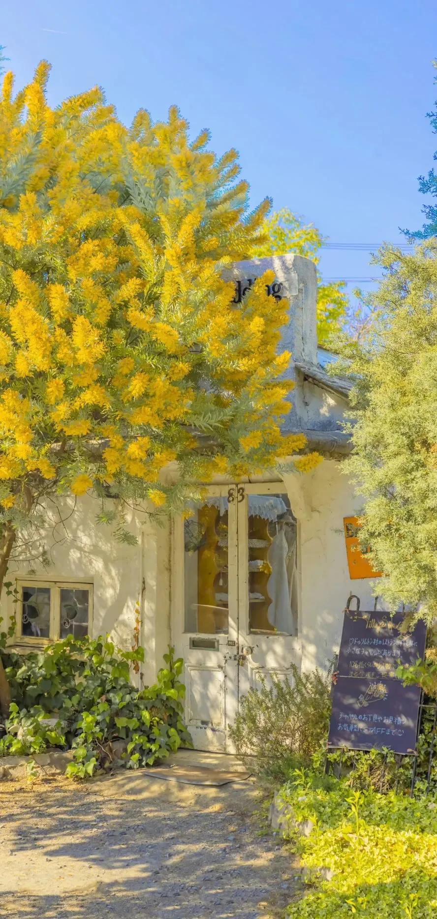 超高清海洋沙滩风景壁纸全屏,湛蓝的海水海滩风景高清壁纸