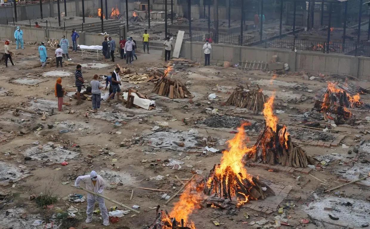 印度仿制辉瑞药怎么样,辉瑞新冠特效药印度