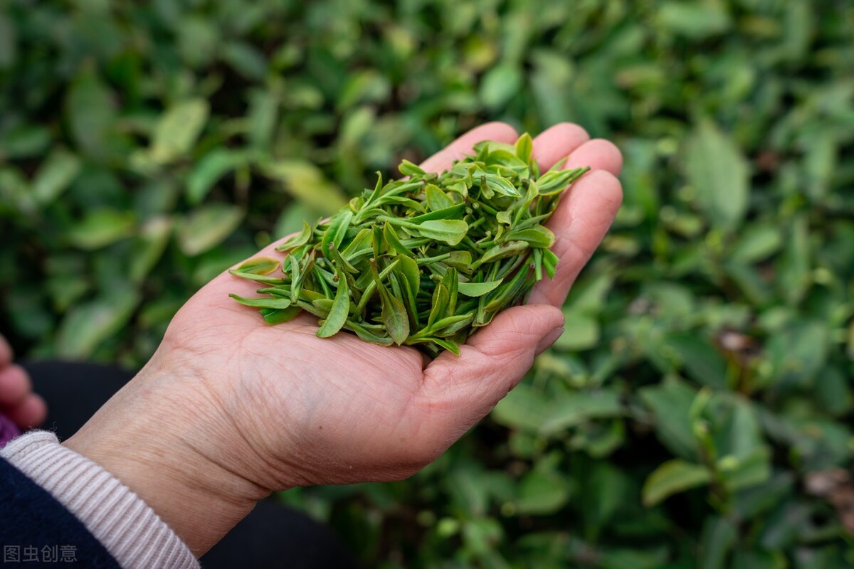 三大富硒茶哪个最好,中国富硒茶的地方有哪些