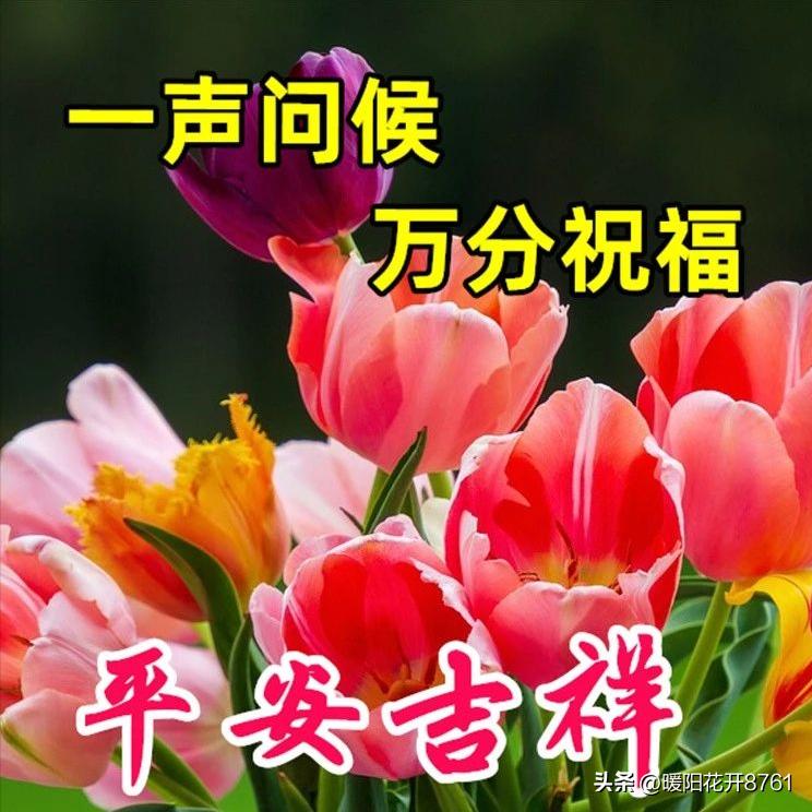 周三早安问候语简短一句话图片,早安问候语最暖心的图片