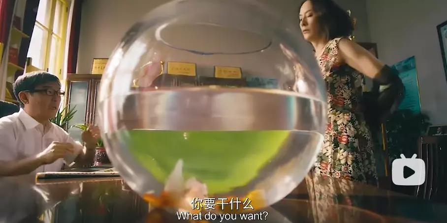 阿凡达不好看为什么票房高,阿凡达票房不及预期