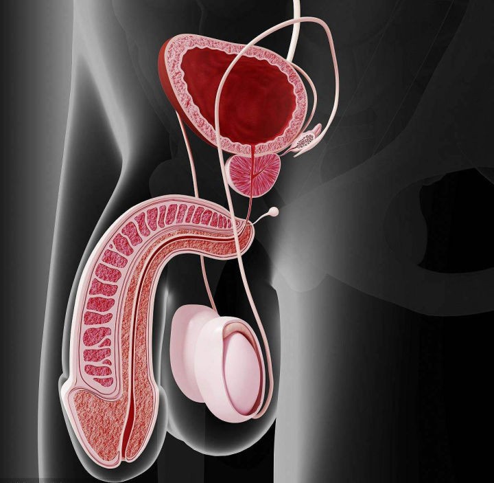 远离前列腺的最佳方法,前列腺最怕这六个坏习惯